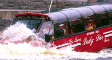 Lady Dive Splash and Tours