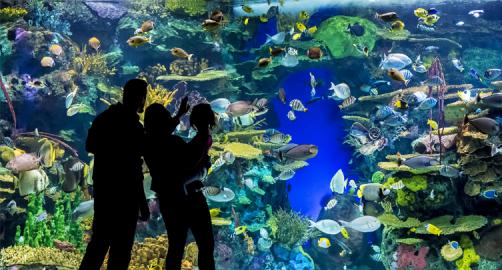 Ripley's Aquarium of Canada