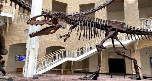 Fernbank Museum of Natural History