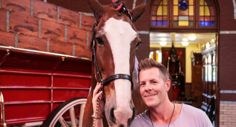 Clydesdale VIP Experience