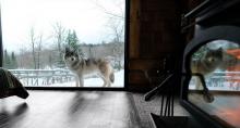 Parc Omega