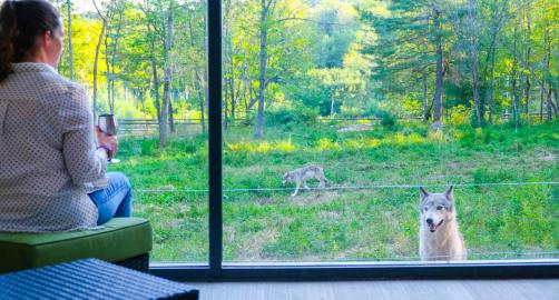 Parc Omega