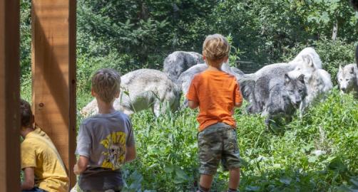 Parc Omega