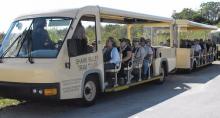 Shark Valley Tram Tours