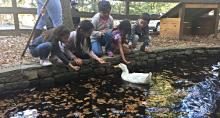 Autrey Mill Nature Preserve (AMNP)