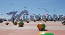Experience the Wildwoods