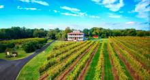 Willow Creek Farm & Winery