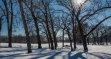 Cloquet Scenic Overlook Park