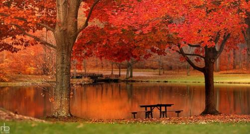 Summit Metro Parks