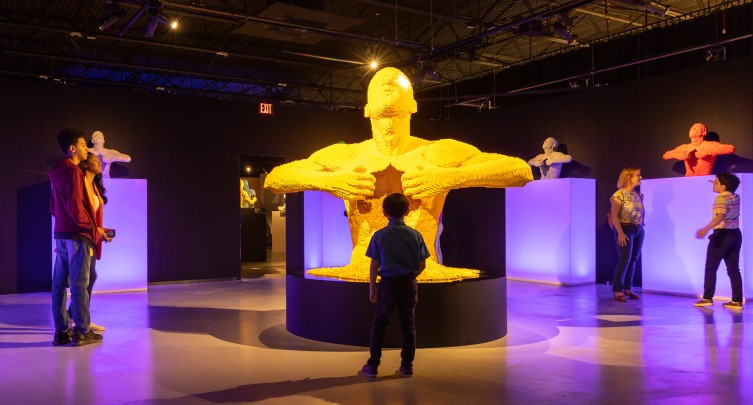 Art of the Brick: Immersive Experience