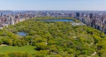 Official Central Park Tours