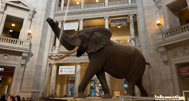 Natural History Museum Private Tour