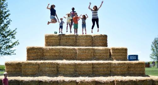 Cherry Crest Adventure Farm