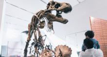 Royal Ontario Museum