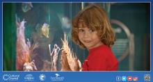 Loggerhead Marinelife Center