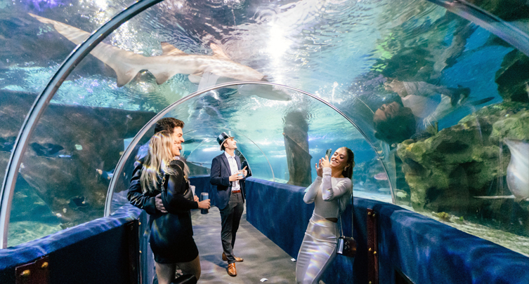 Lady Caroline Noon Year’s Eve