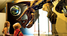 Canadian Museum of Nature