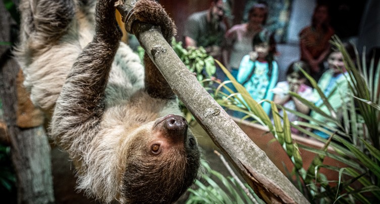 Canadian Museum of Nature