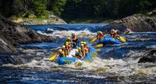Wilderness Tours