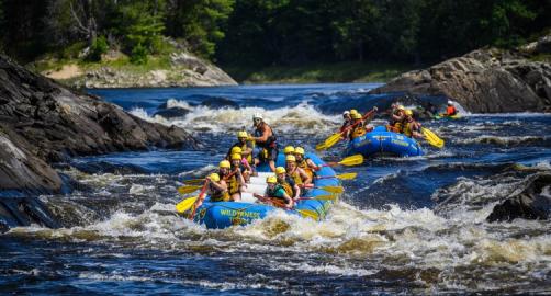 Wilderness Tours