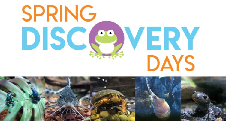Spring Discovery Days